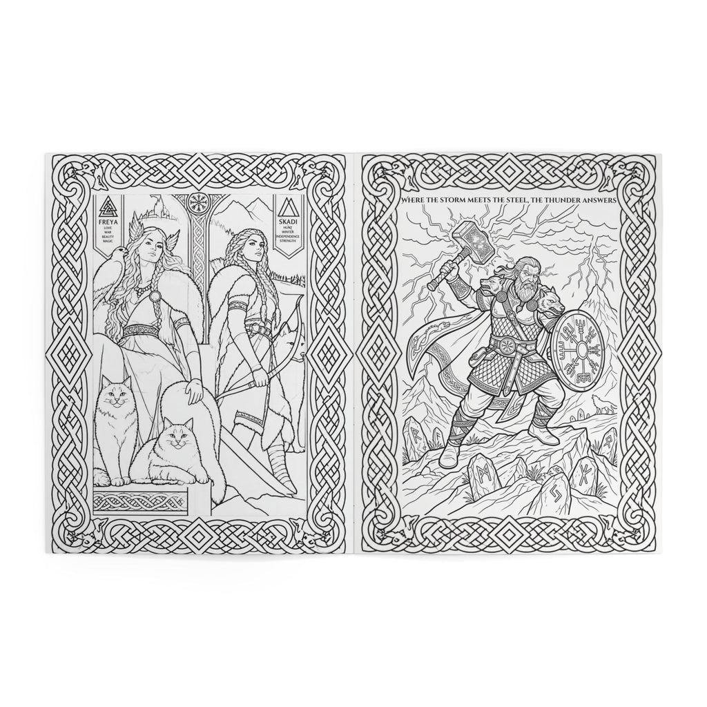 Viking Warrior Coloring Book