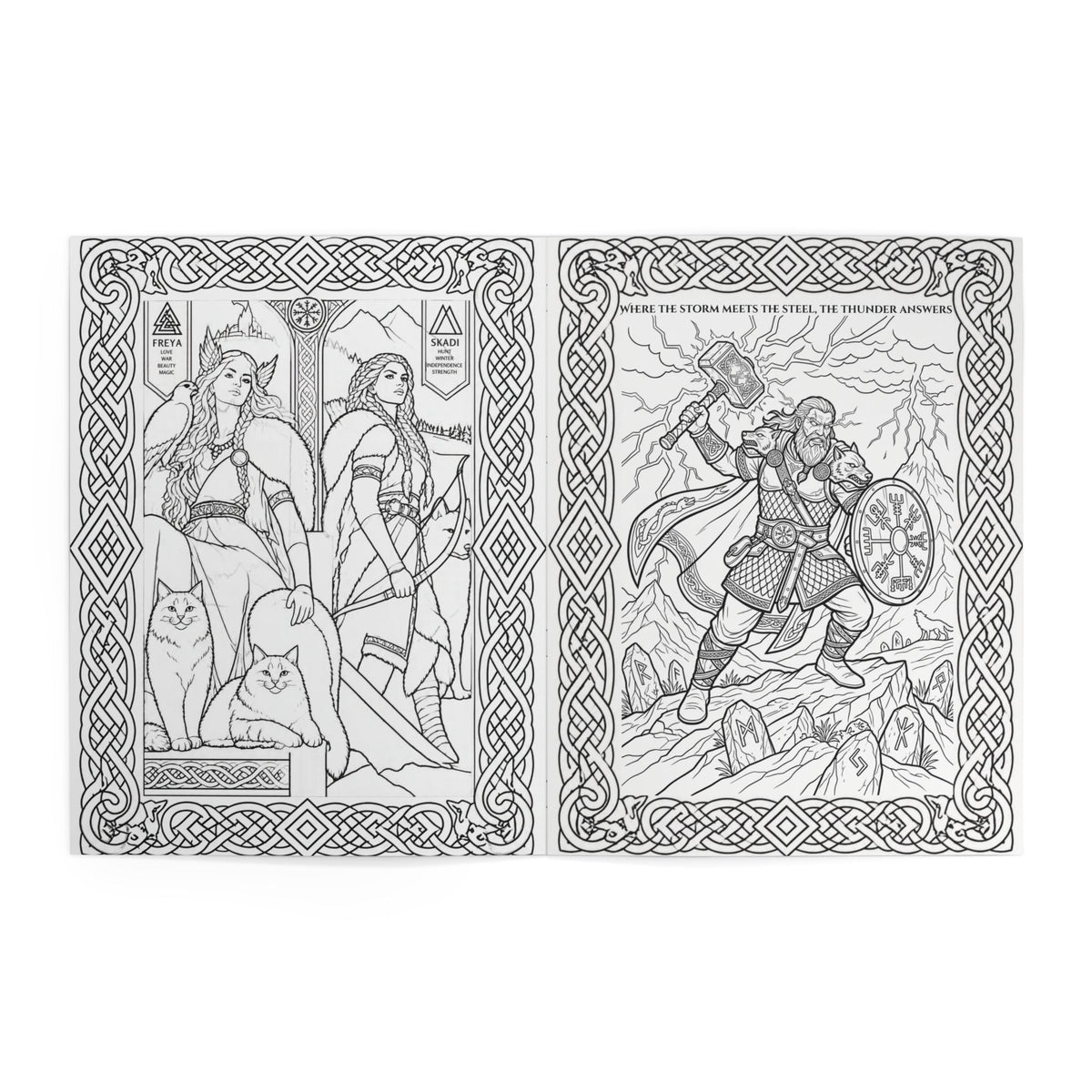 Viking Warrior Coloring Book