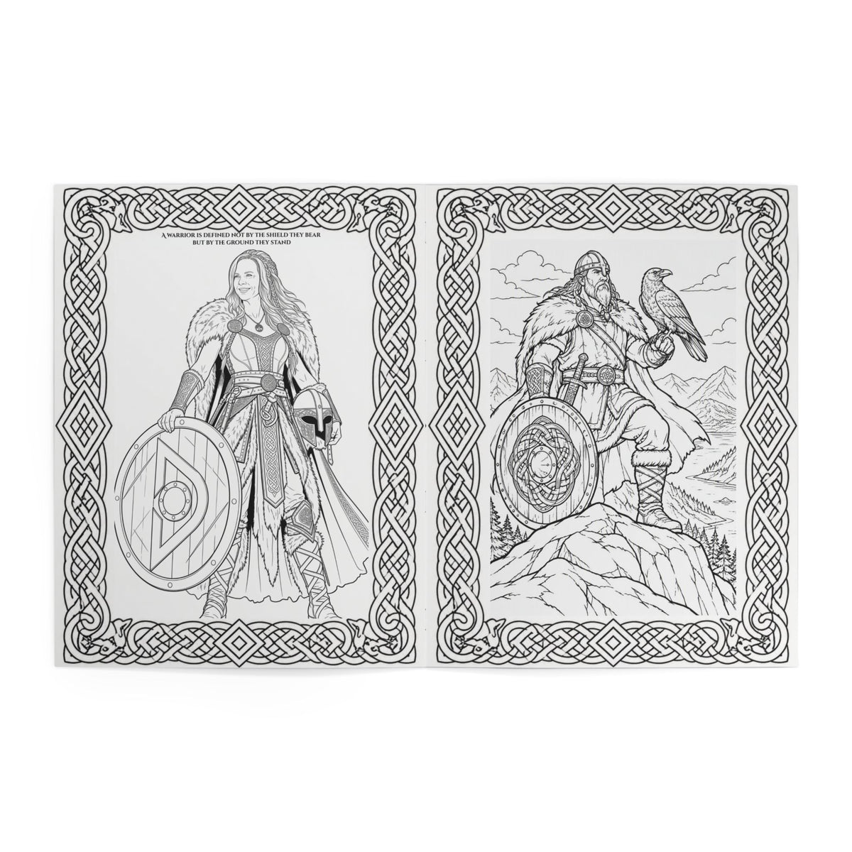 Viking Warrior Coloring Book