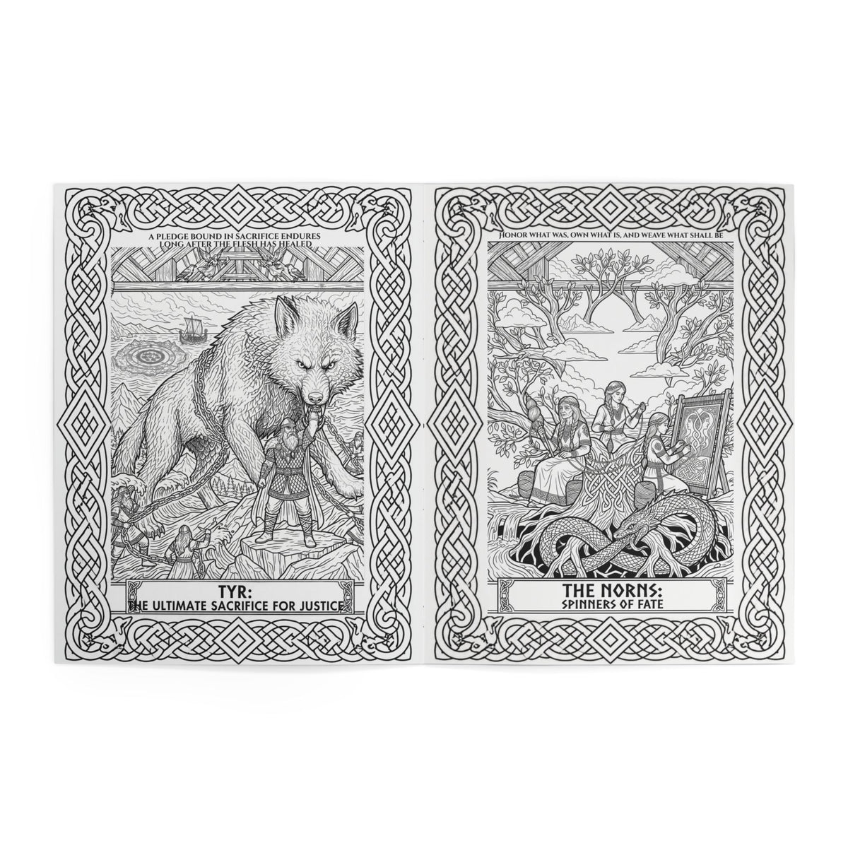 Viking Warrior Coloring Book