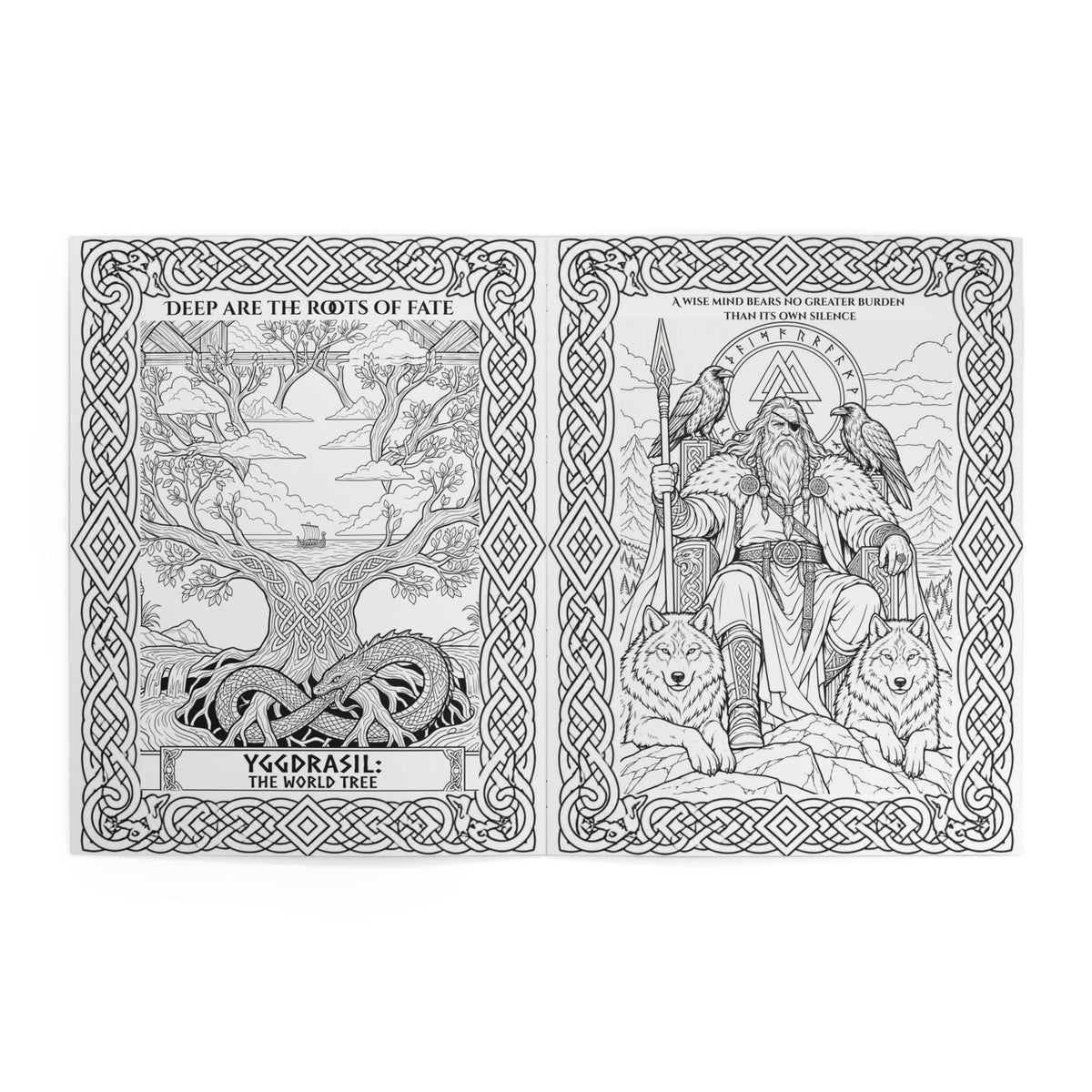 Viking Warrior Coloring Book