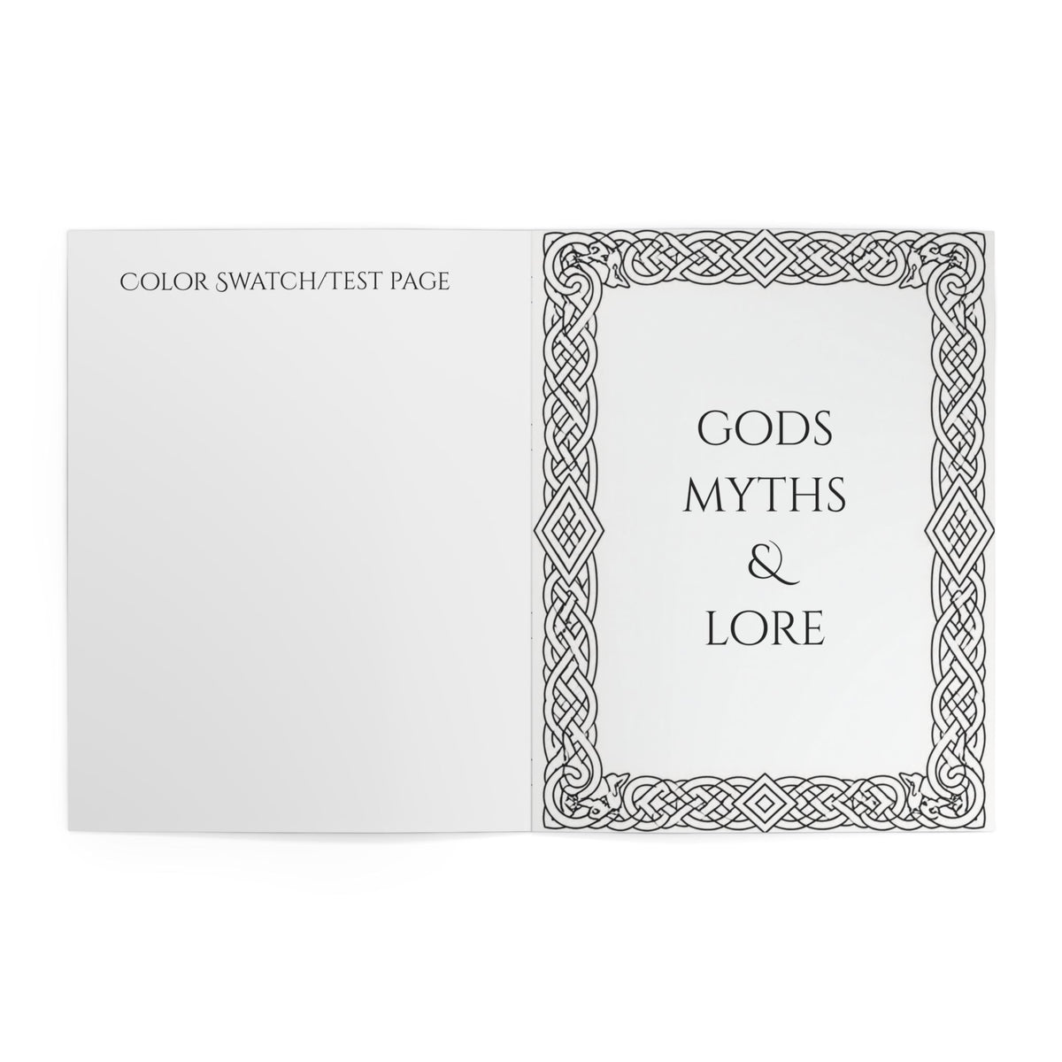 Viking Warrior Coloring Book