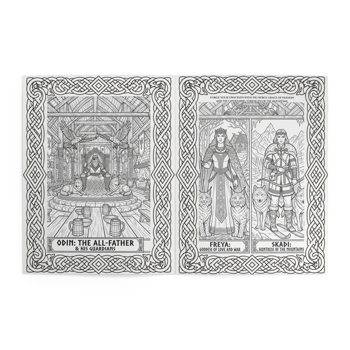 Viking Warrior Coloring Book